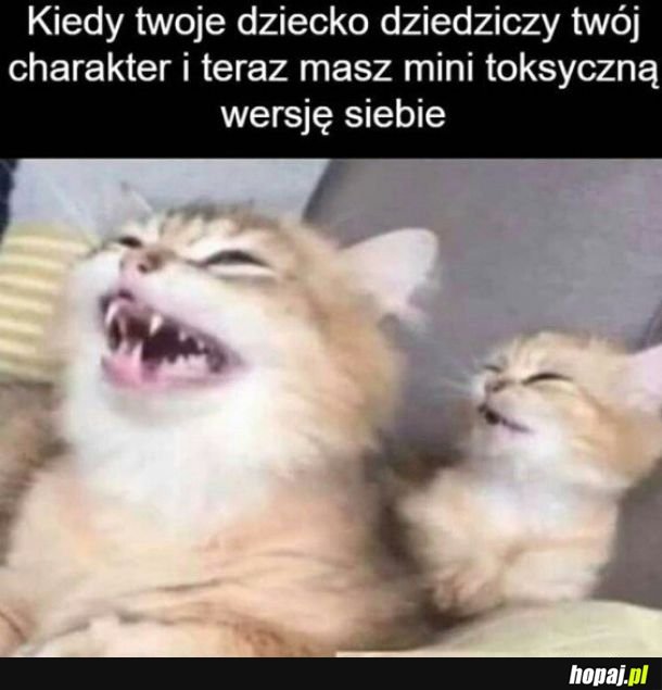 Co 2 głowy to nie jedna