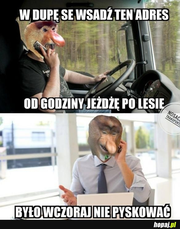 Janusze transportu