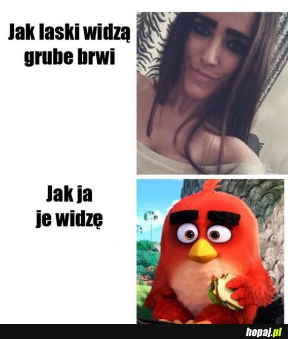 Tak to widzę