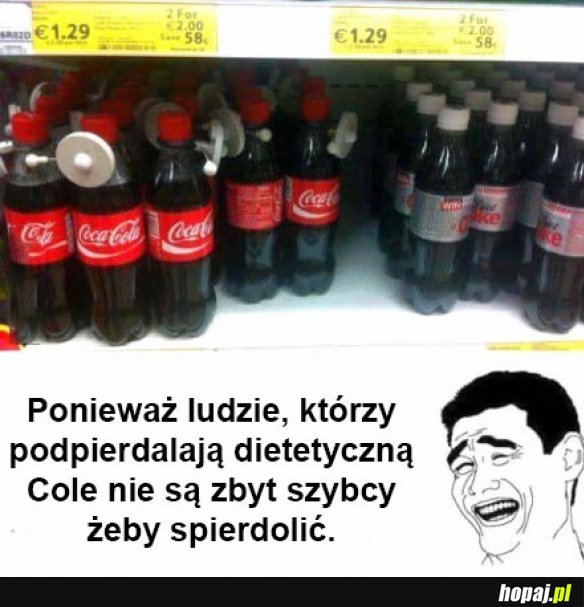 Grubasy nie kradną