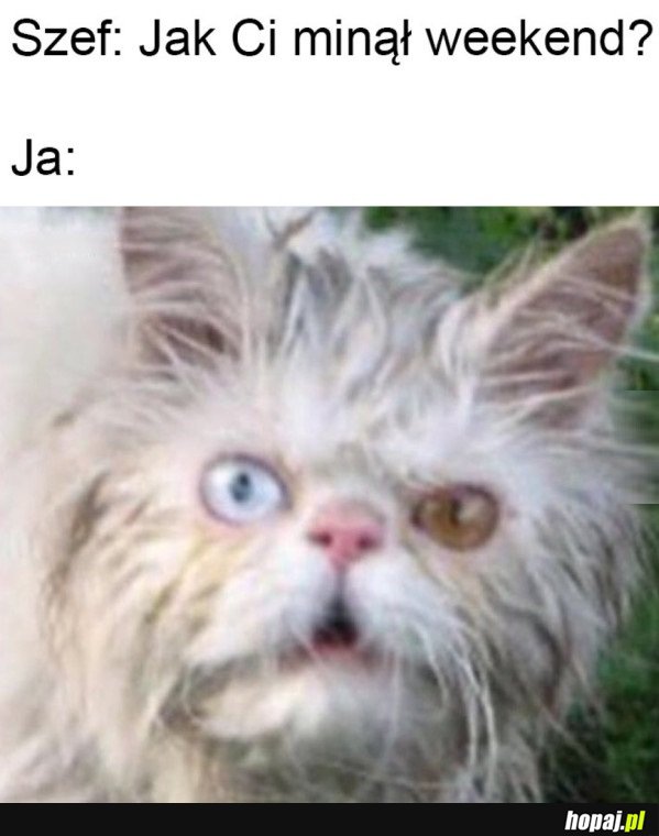 PONIEDZIAŁEK W PRACY
