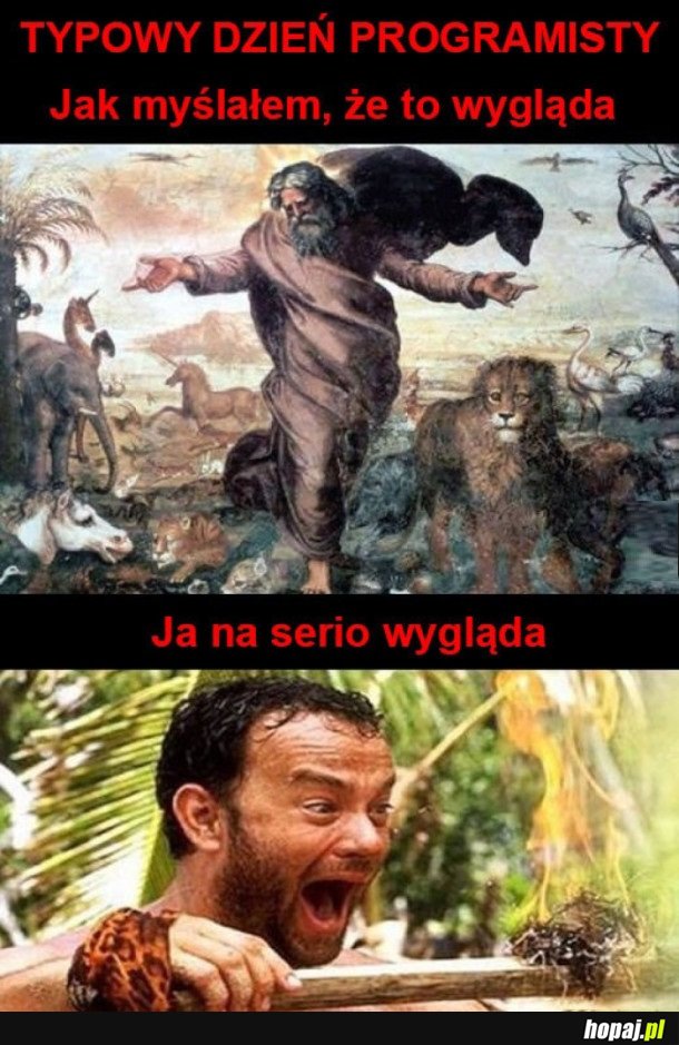 TYPOWY DZIEŃ PROGRAMISTY