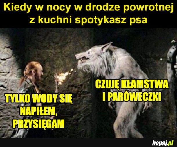 Pieseł wie lepiej