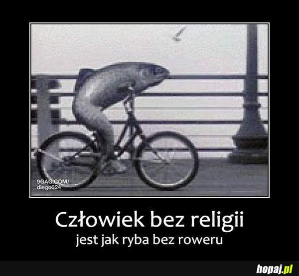 Człowiek bez religii jest jak ryba...