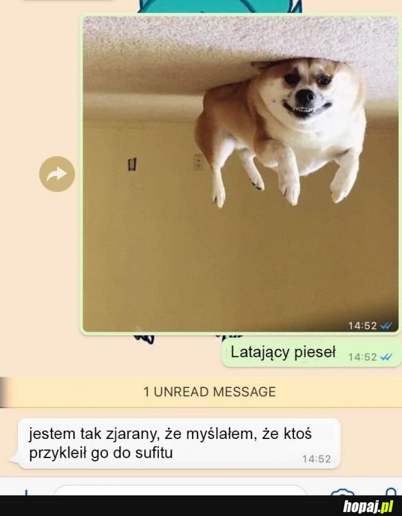 Dziwna sprawa