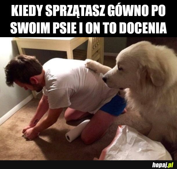 Najlepszy