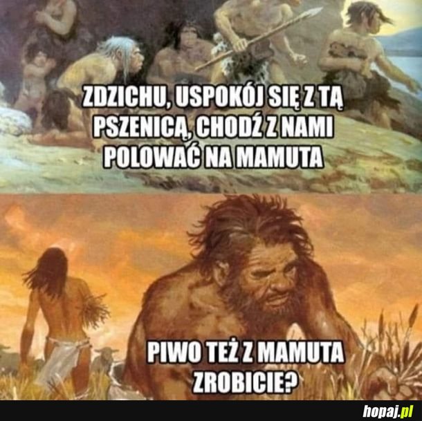 Zdzichu 