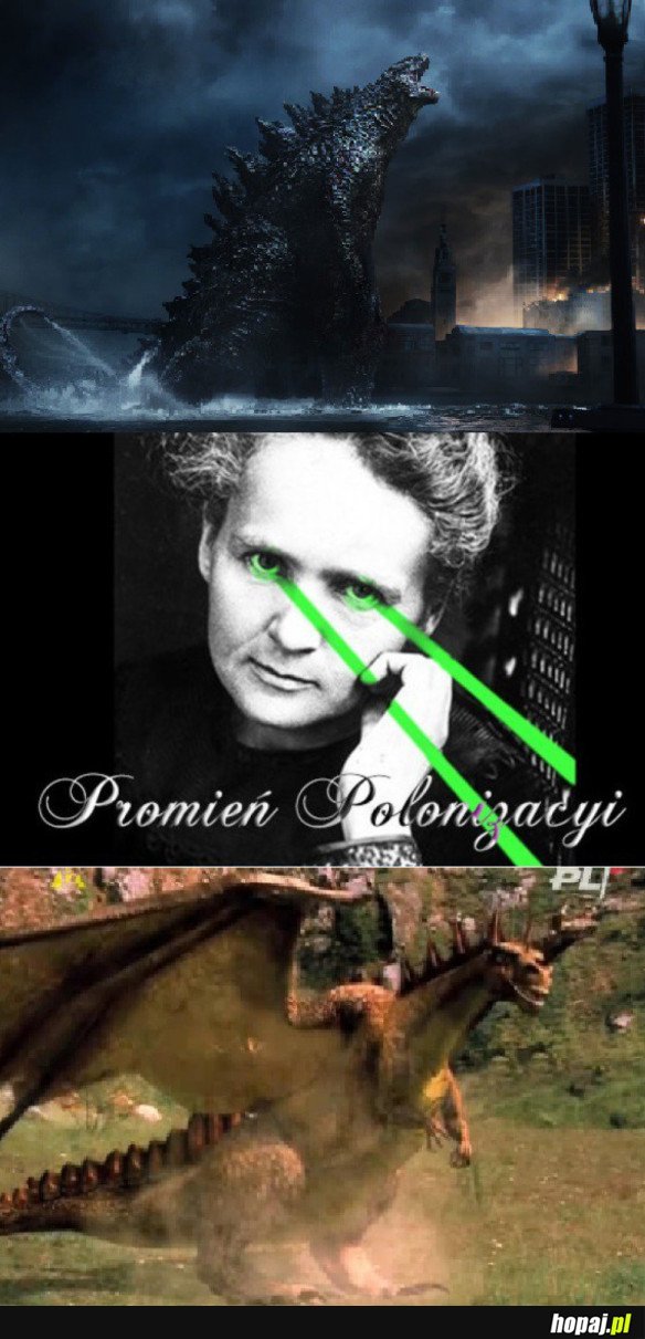 POLSKI SMOK 