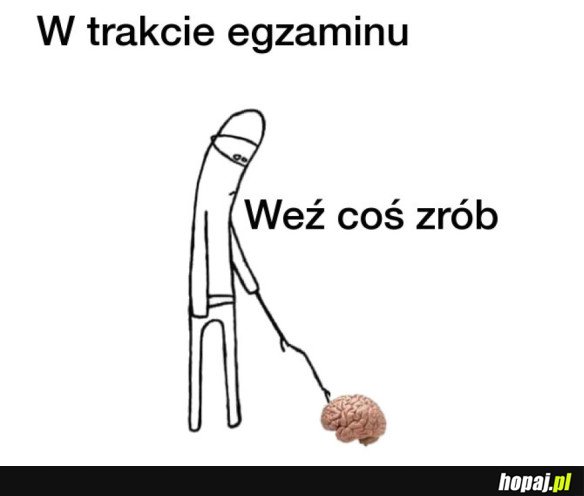 Egzamin