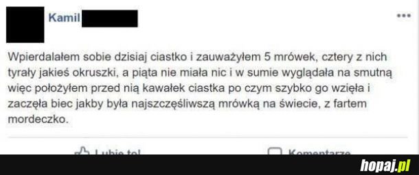 Piękna historia 