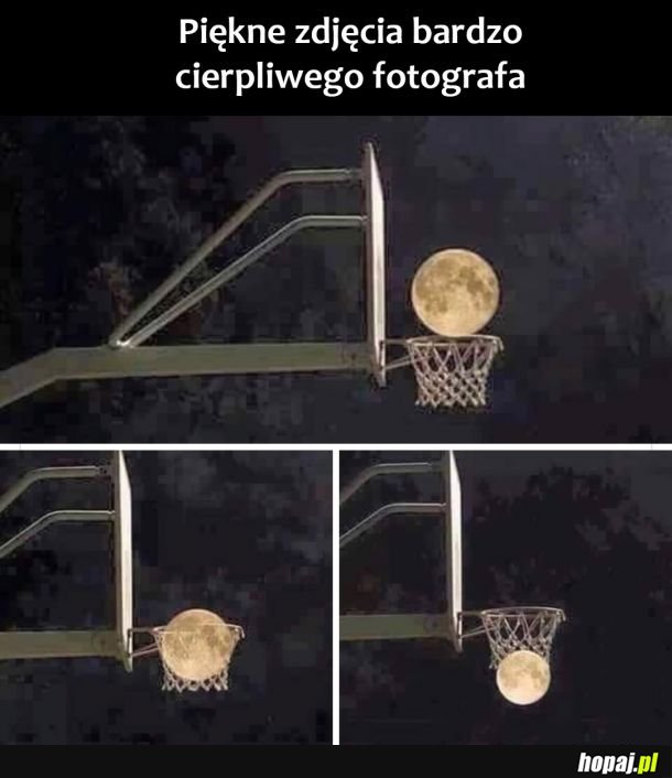 Cierpliwy fotograf 