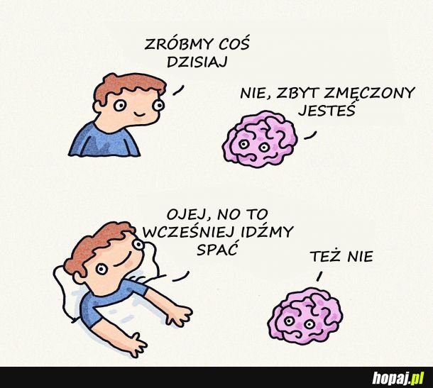 Mój mózg