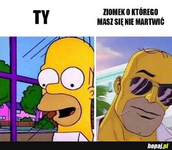 NIE MA CO SIĘ BAĆ