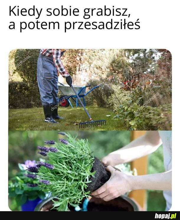 Ogrodowe śmieszki