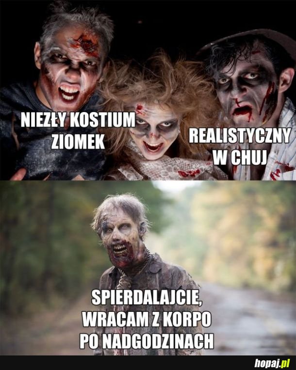 Praca w korpo