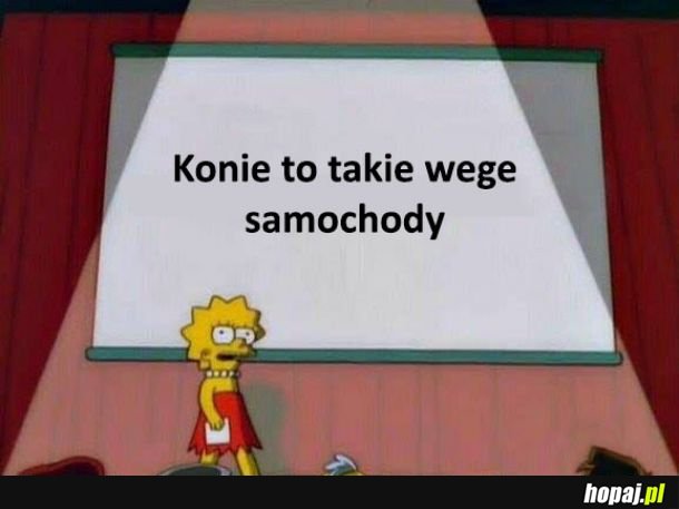 Konie