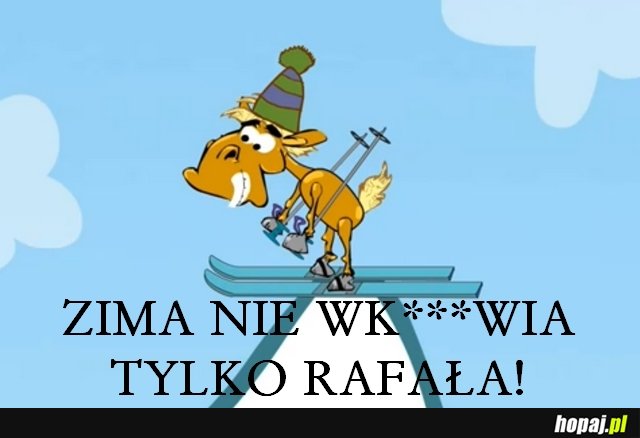 KOŃ RAFAŁ ZNOWU HASA!