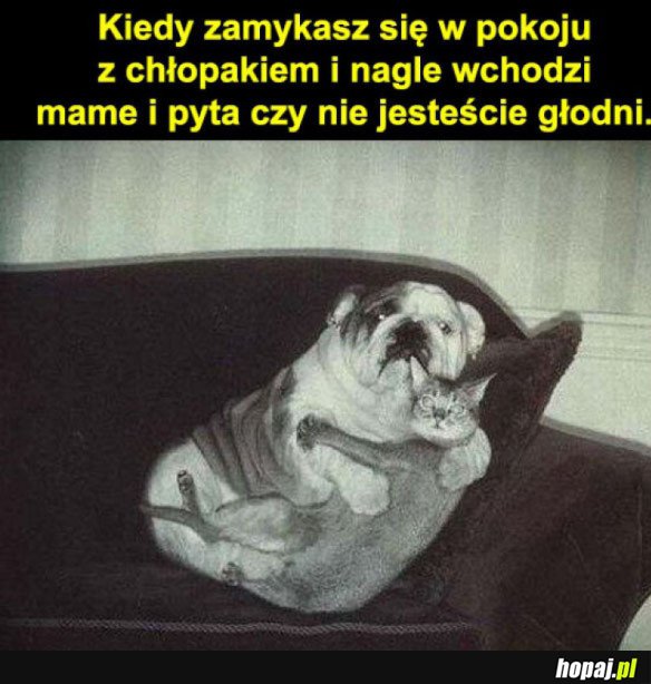 Mamo nie teraz