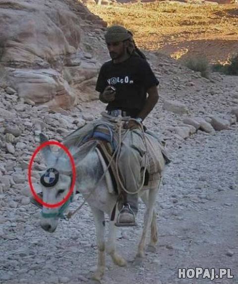 Osiołek BMW