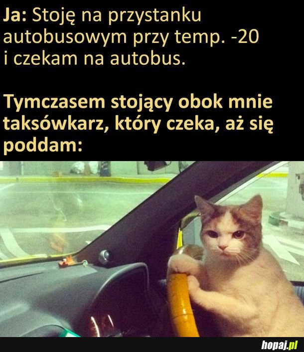 Wytrwa czy nie wytrwa