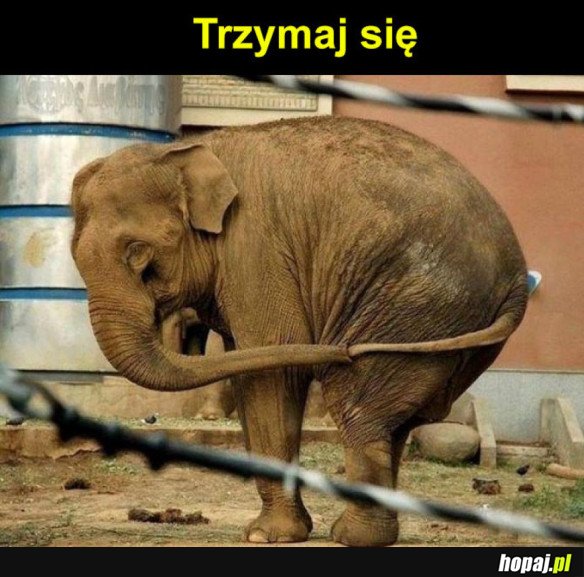 Trzymaj się...