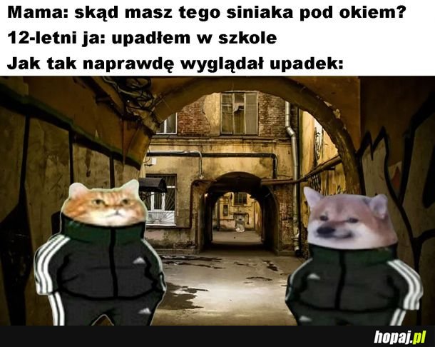 Dresiarze