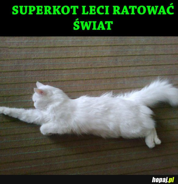 MOŻNA CZUĆ SIĘ BEZPIECZNIE