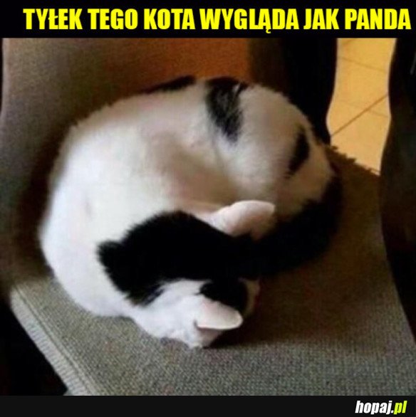 TEŻ SIĘ POMYLILIŚCIE