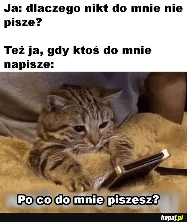 Sprzeczność