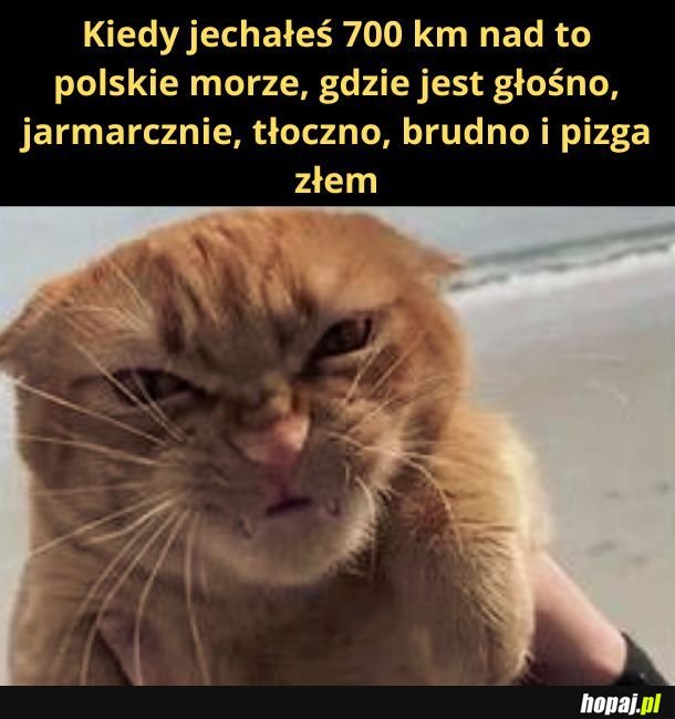 Urlopik