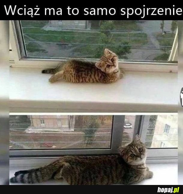 Bez zmian