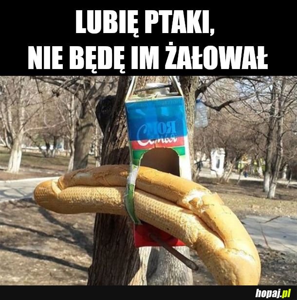 Na bogato