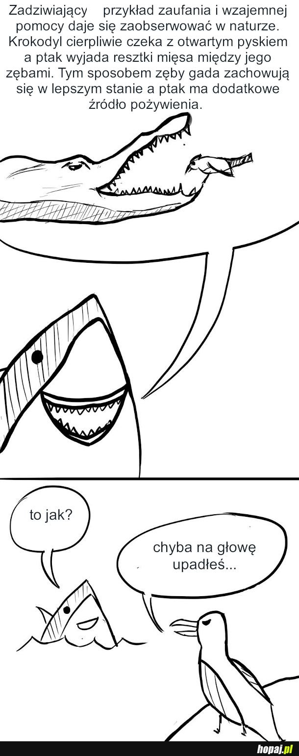 Pomoc bliźniemu