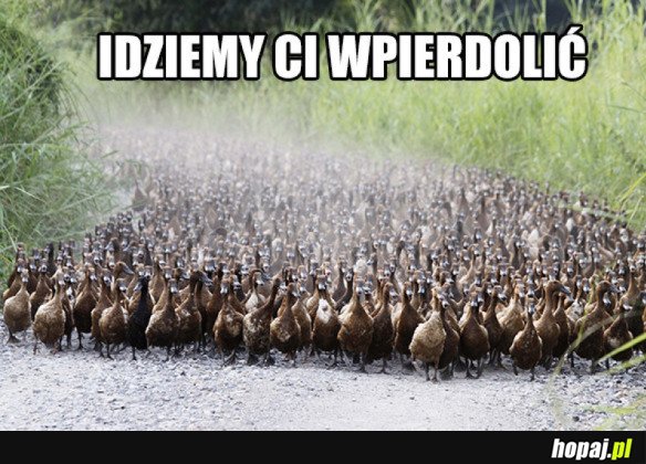 Żarty się skończyły