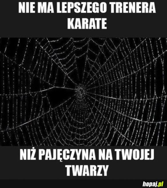 NAJLEPSZY NAUCZYCIEL KARATE