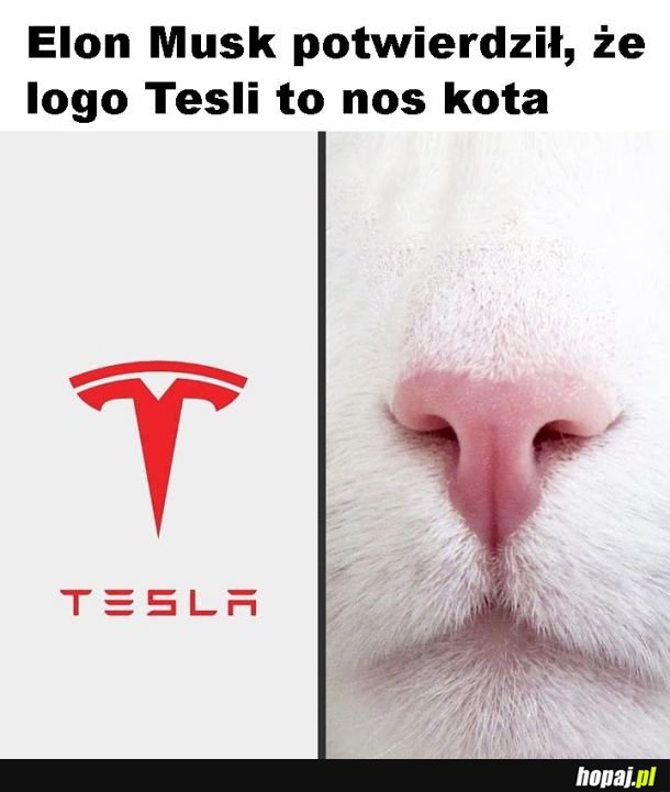 Inne spojrzenie na logo Tesli