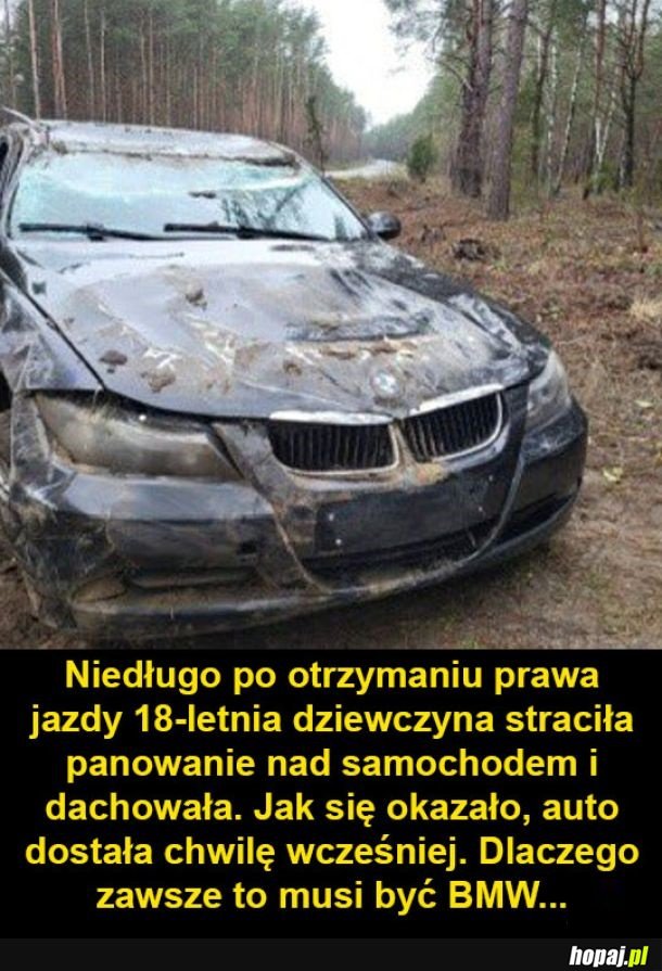 Zawsze ten sam model...