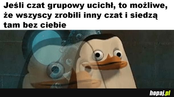 Czat grupowy