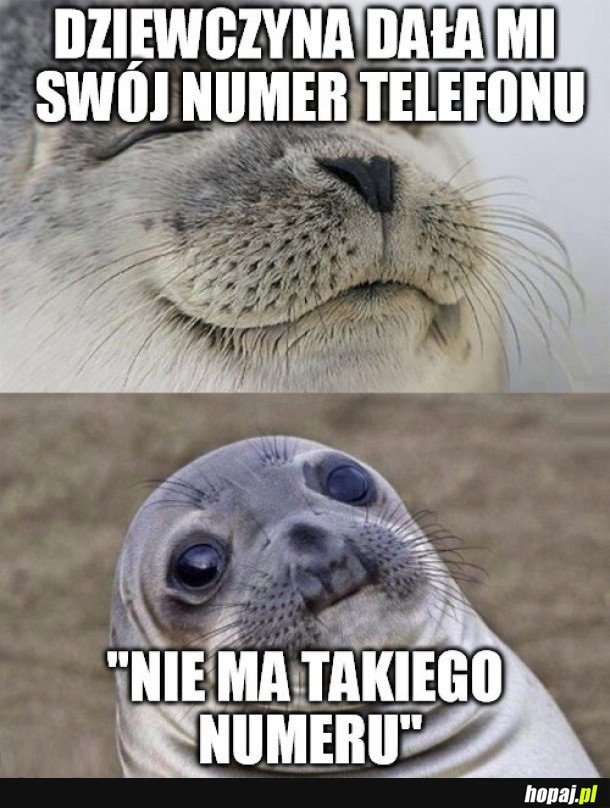 NUMER TELEFONU