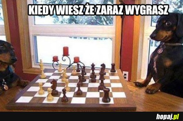 KIEDY WIESZ, ŻE ZARAZ WYGRASZ