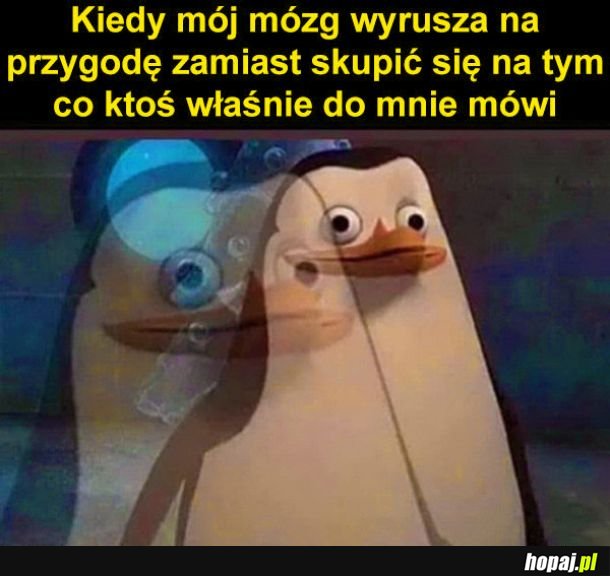 Hej przygodo!