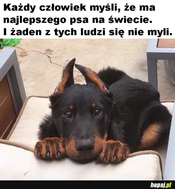 Prawda