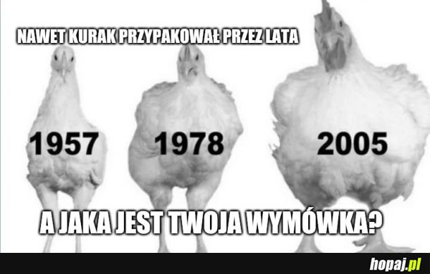 A jaka jest Twoja wymówka?