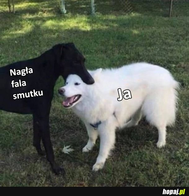 Fala smutku