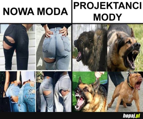 Tak to widzę