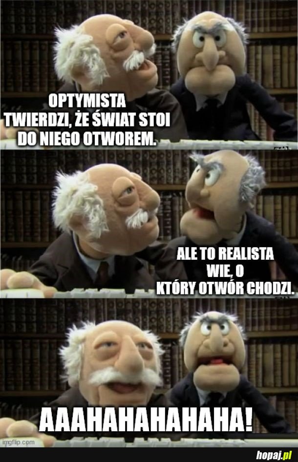 Pesymista - tak optymista nazywa realistę.