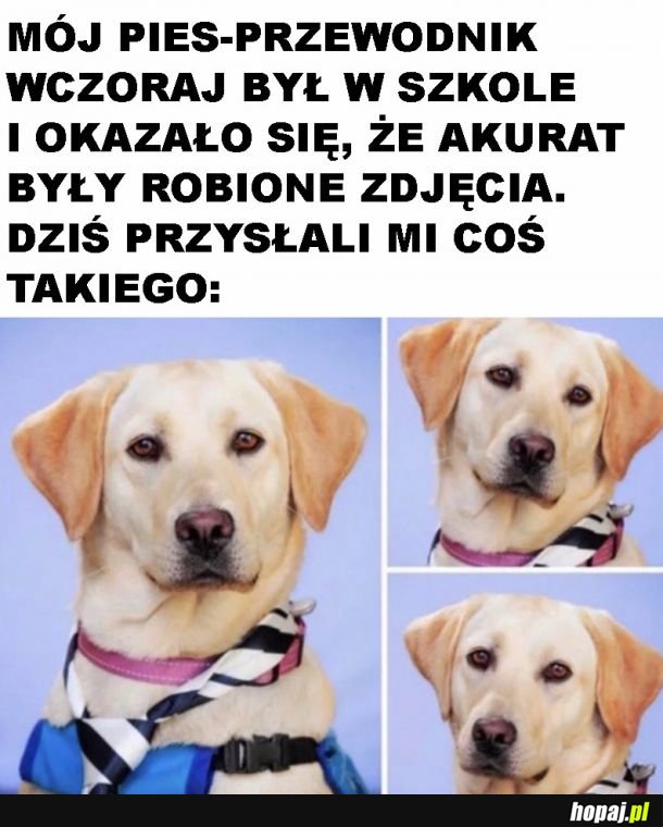 Piękne zdjęcia