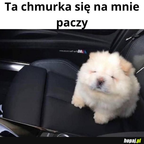 Może się paczeć