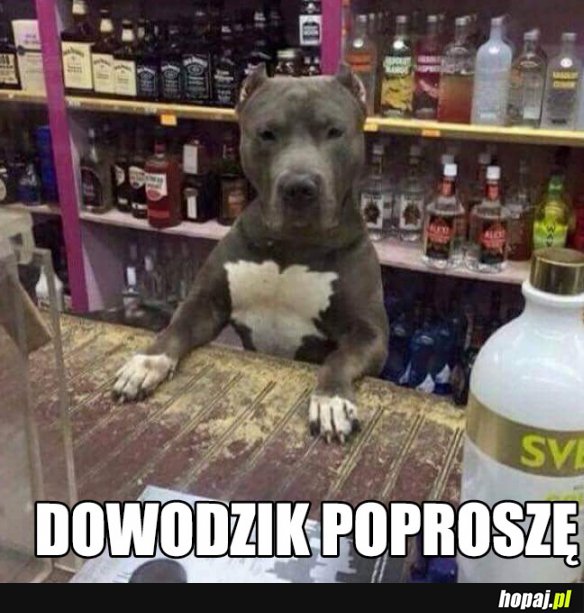 Dowód jest?