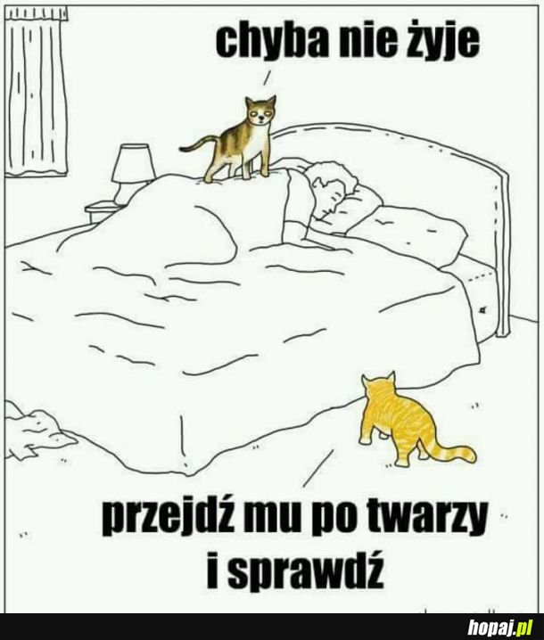 Sprawdźmy